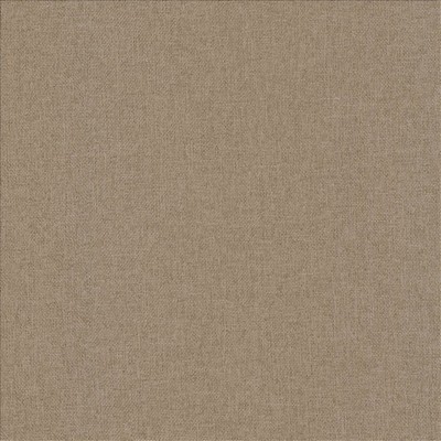 Kasmir LIGHTS OUT       LATTE           